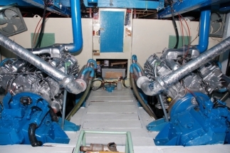 Melaleuca engine